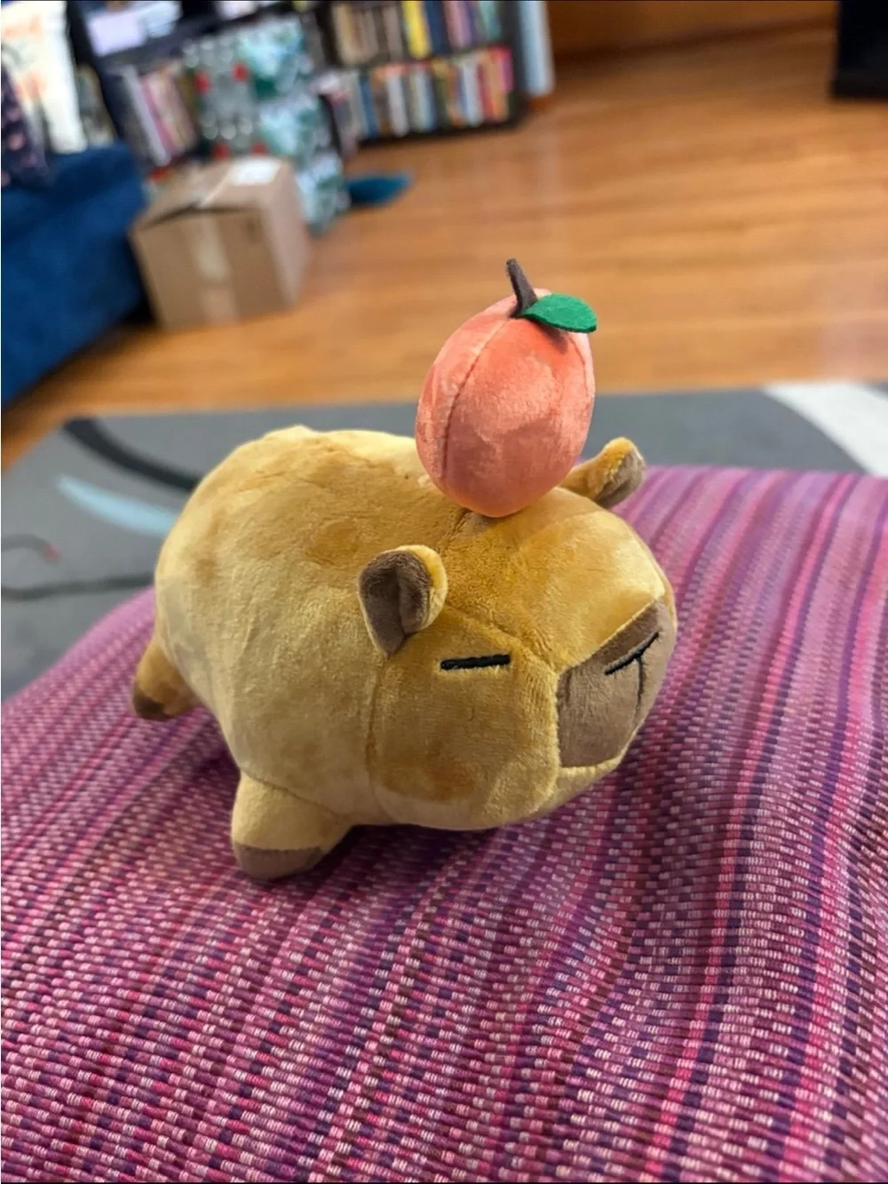 Hubman and Chubgirl capybara Plush with an orange on its head